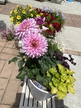 写真 2023-05-02 12 28 03