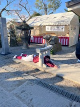 写真 2026-01-28 16 41 07 (7) (1)