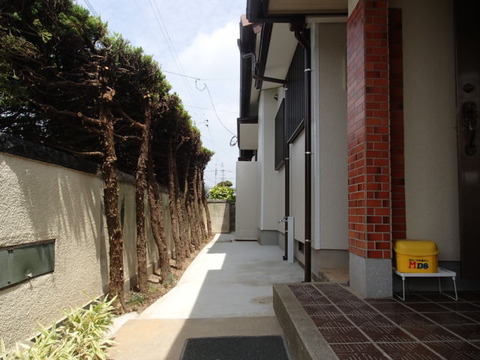 P6160001