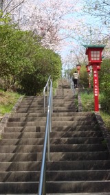 写真 2023-04-05 15 05 17 (5)