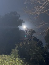 写真 2020-10-01 20 06 59