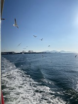 写真 2021-12-05 9 15 07