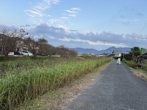 写真 2024-11-14 16 56 36