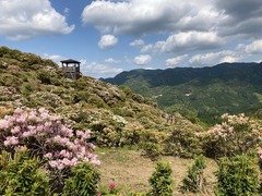 IMG_0659