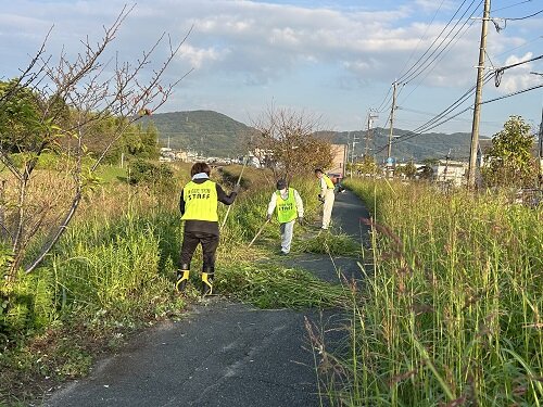 写真 2024-11-14 16 04 53