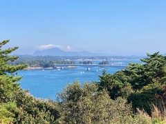 IMG_1137