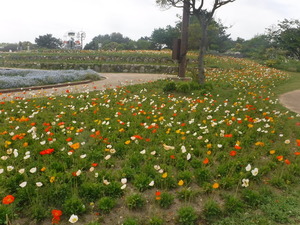 海浜公園 2