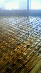 201101221642000