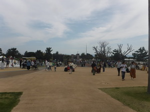海浜公園 1