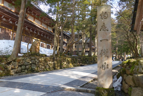 DSC01051
