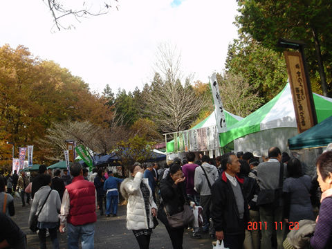 soba2