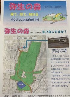 弥生