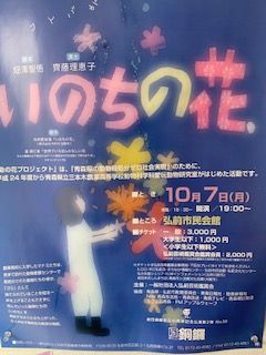IMG_8284 (1)