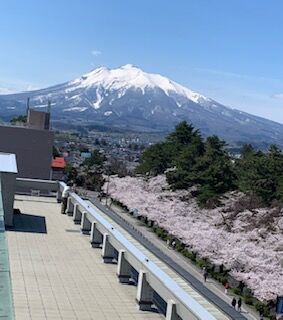 桜と岩木