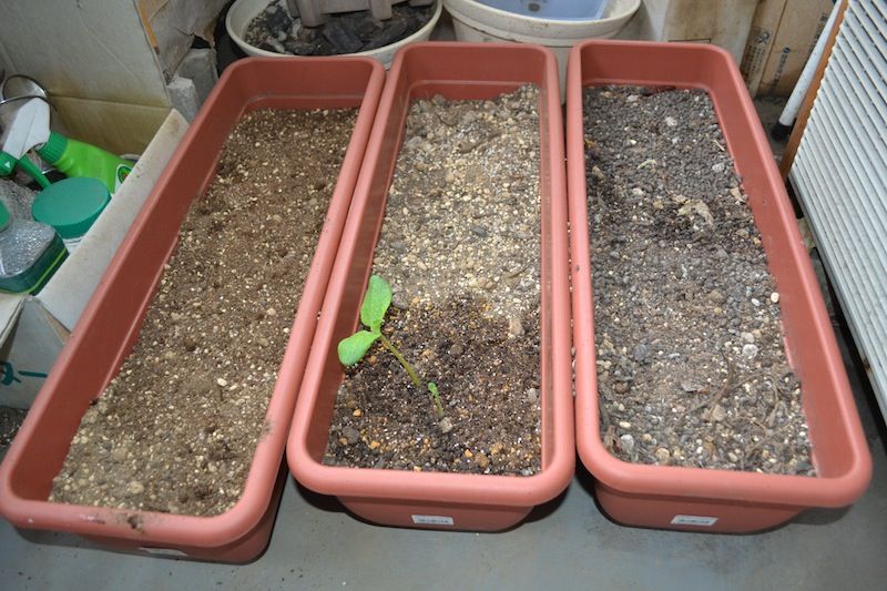 生ゴミの削減と土壌の回復が可能な土壌混合法はグッド 若葉台２丁目南自治会のブログ