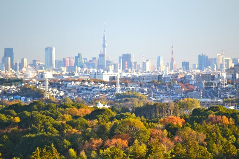 金環日食の次はスカイツリーの開業ですね 若葉台から徒歩コースを描いてみました 若葉台２丁目南自治会のブログ