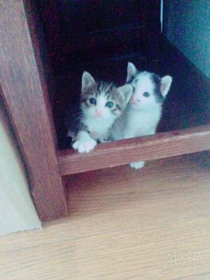 今買えばいい株2chまとめブログ