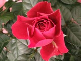 変換~CIMG6399