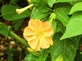 変換~CIMG4935