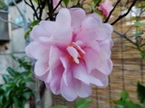 変換~017