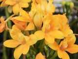 変換~CIMG6395