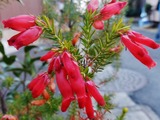 変換~018