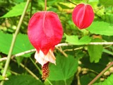 変換~CIMG4938
