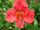 変換~CIMG6393