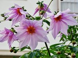 変換~021