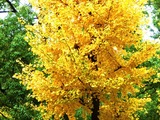 変換~CIMG5715