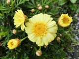 変換~CIMG2552