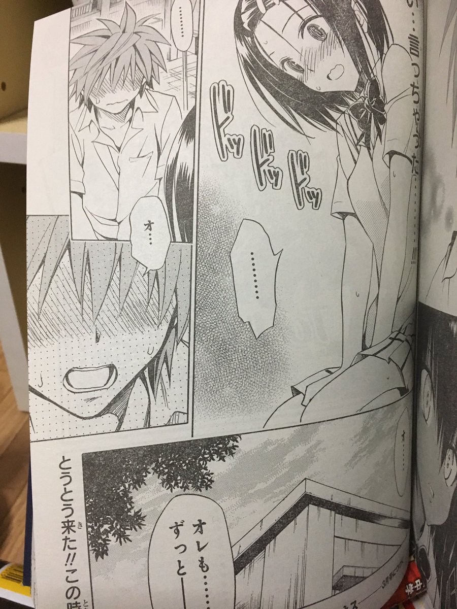 もしtoloveるがハーレムエンドじゃなければ めざせアニヲタデビュー