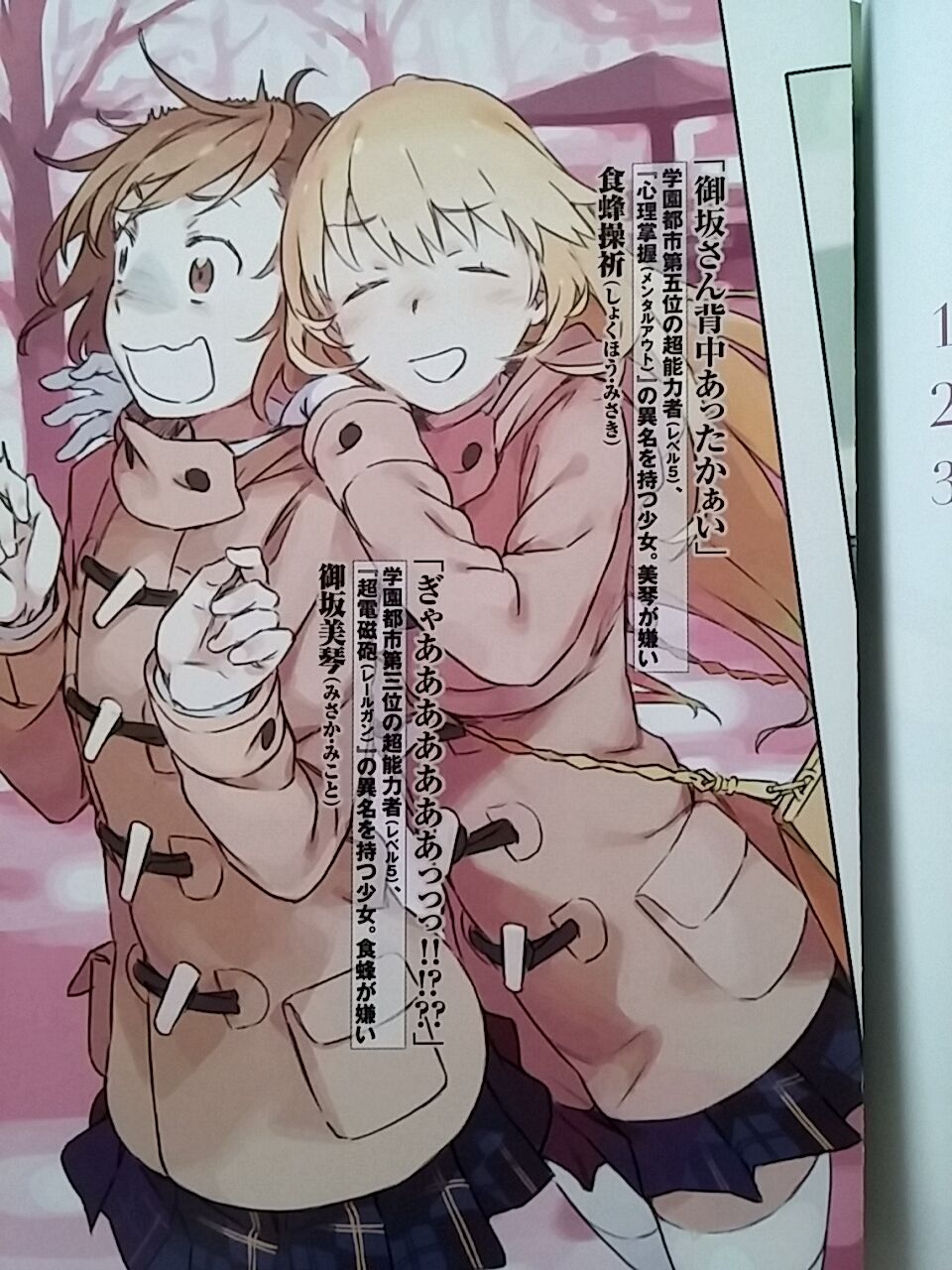 朗報 とある魔術の禁書目録 百合ラノベになる たのしーアニメ速報 朗報 とある魔術の禁書目録 百合ラノベになる たのしーアニメ速報
