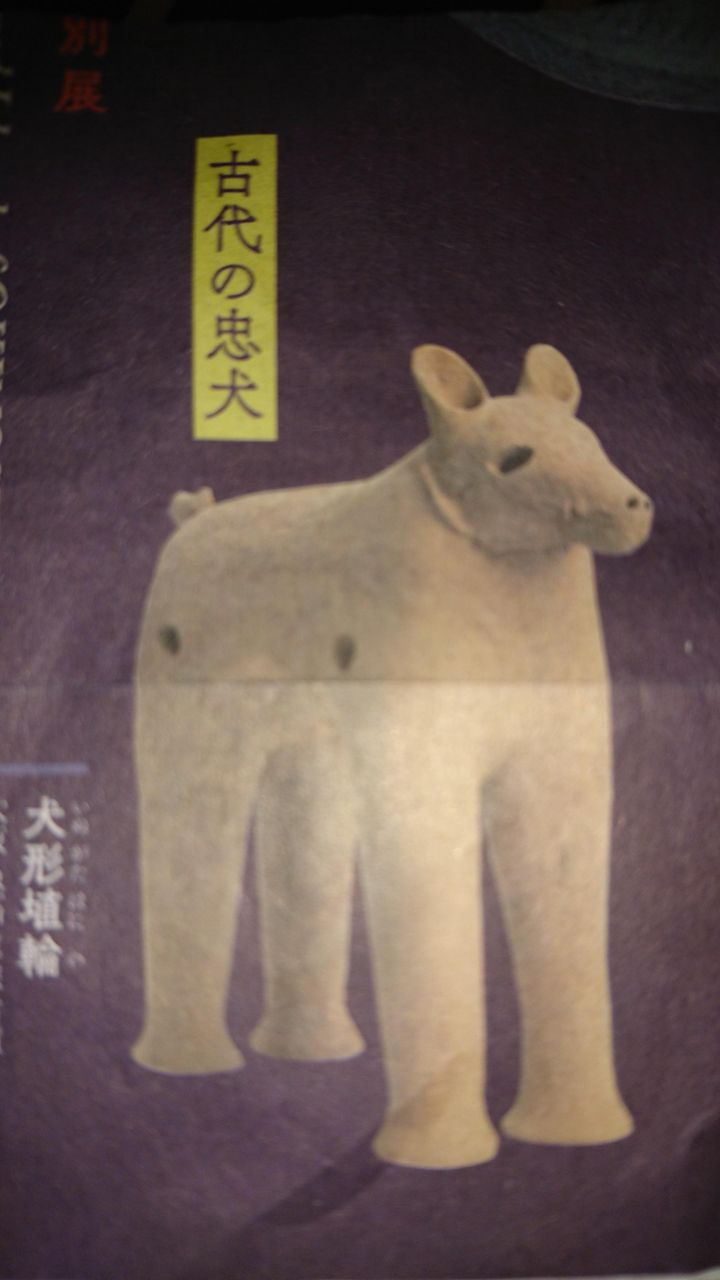 朗報 コダイーヌ 発見される Vipでj