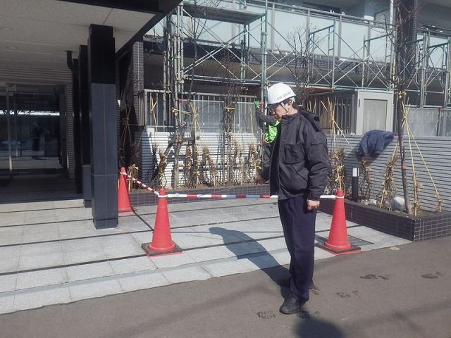 IMGP1818_�������ѹ�