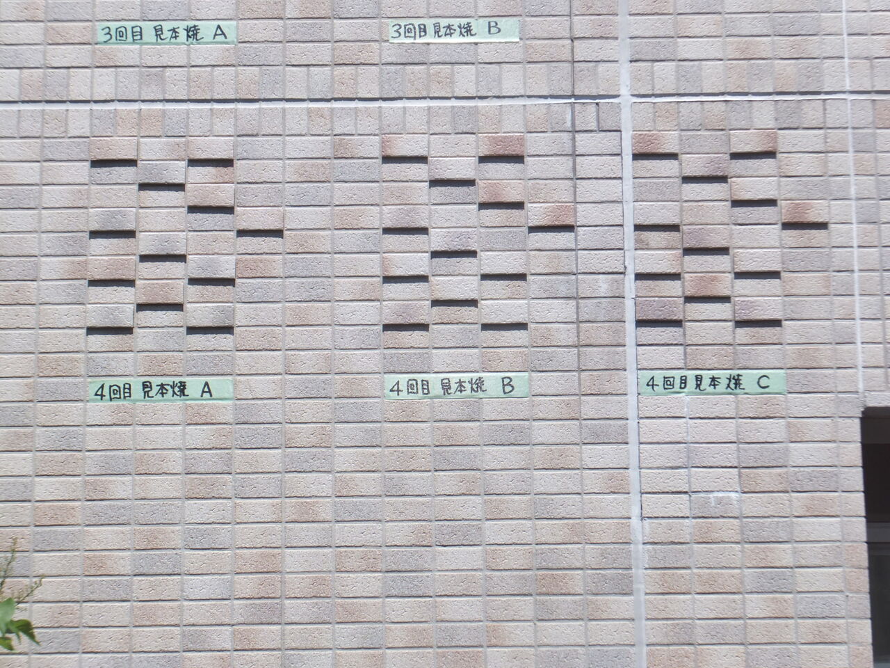 DSCF5849