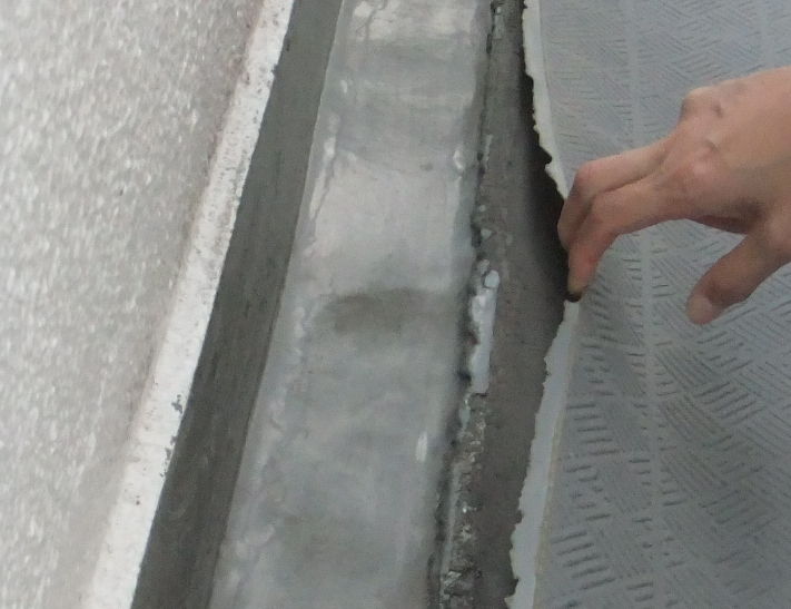 �������Ȥβ�