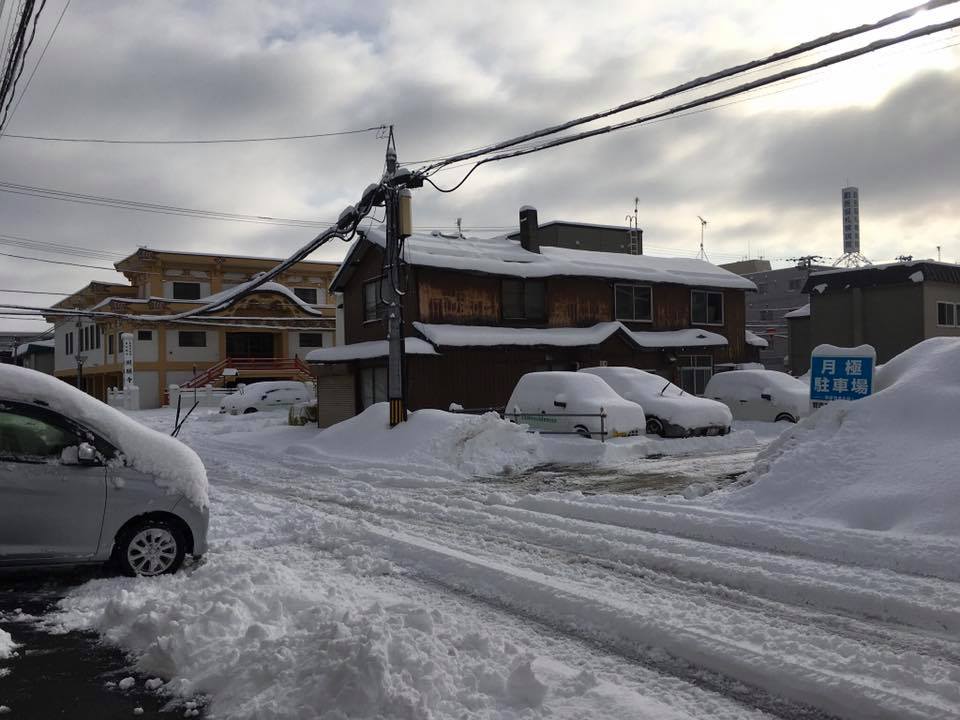 17457546_1274766332607251_3467979671031684744_n