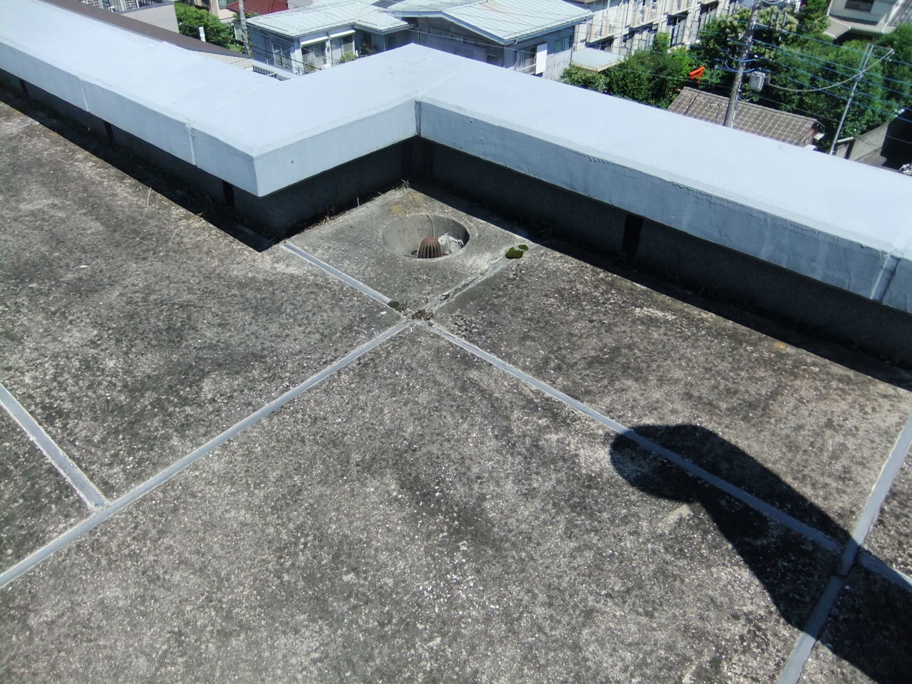DSCF6576