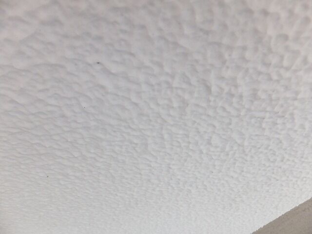 DSCF0563