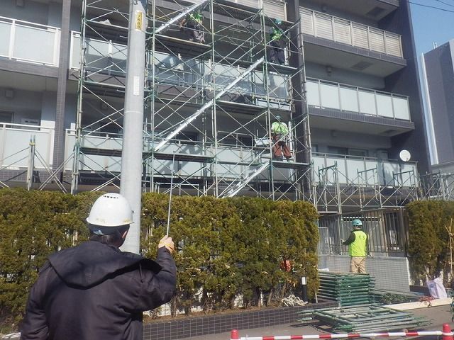 IMGP1813_�������ѹ�