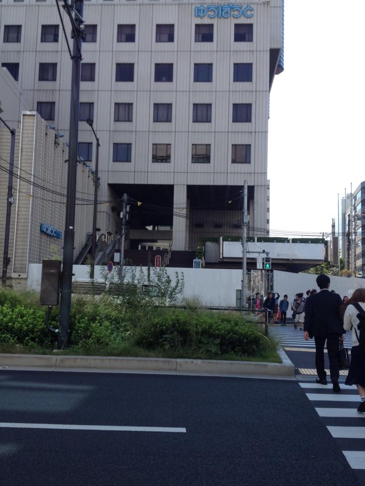 12122566_880020995415122_742867213786160209_n