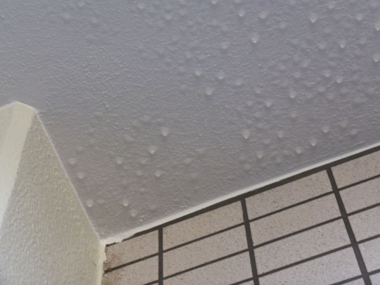DSCF6918