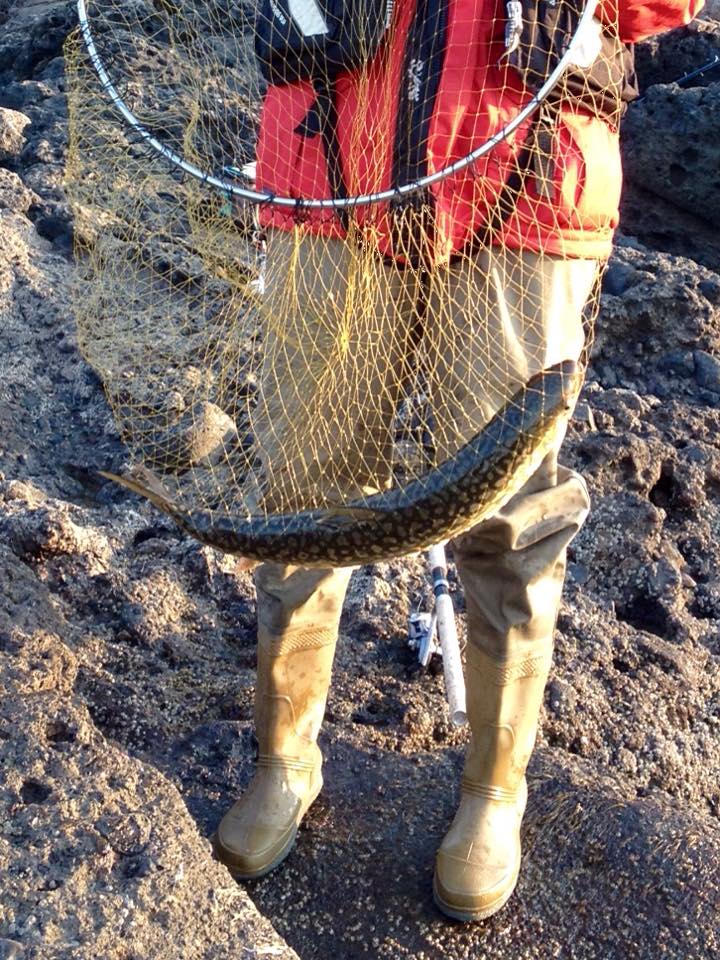 11164616_798836870200202_2774863991497857387_n