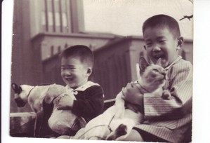 Scan15