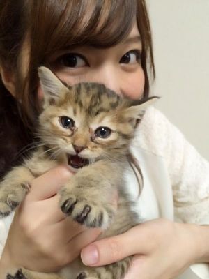 アイドルマスター -アイマス総合まとめ-