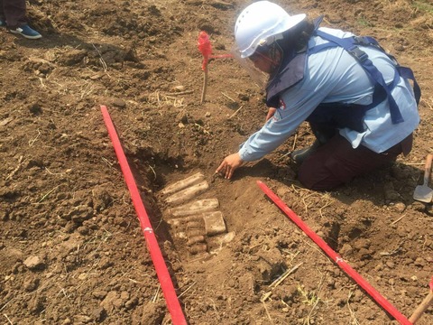 17192364_1336691869702582_8591276678777999988_o