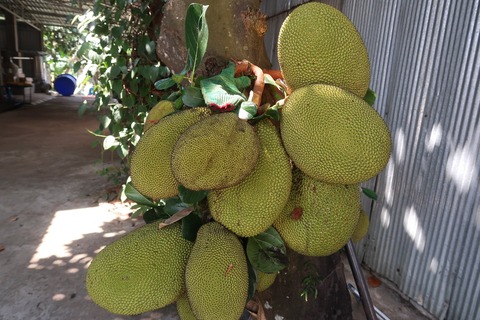 166908955_4014538571917885_530588989009063071_n