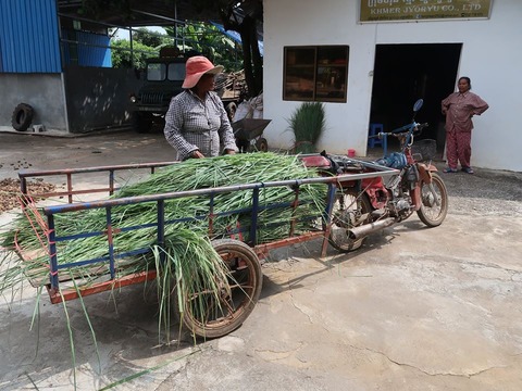 23167940_1577675818937518_2627216620969190966_n