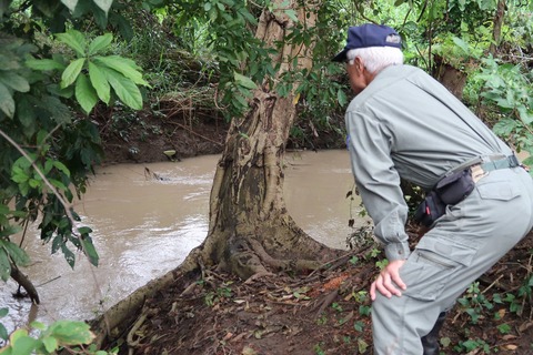 23275646_1578837182154715_1283677887805879639_o